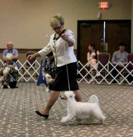 Raffica's Hot N' Spicy At Cynergy