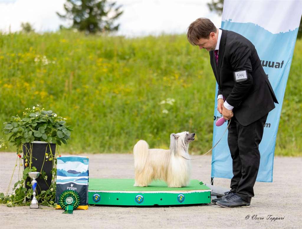 Jamming's Clint Eastwood