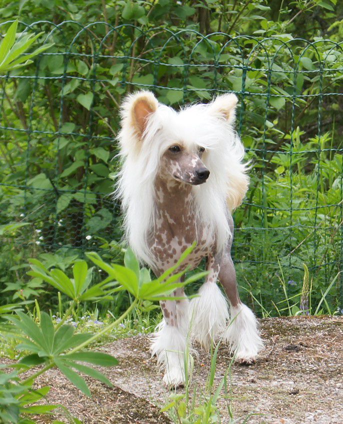 Vanitonia Undeterred