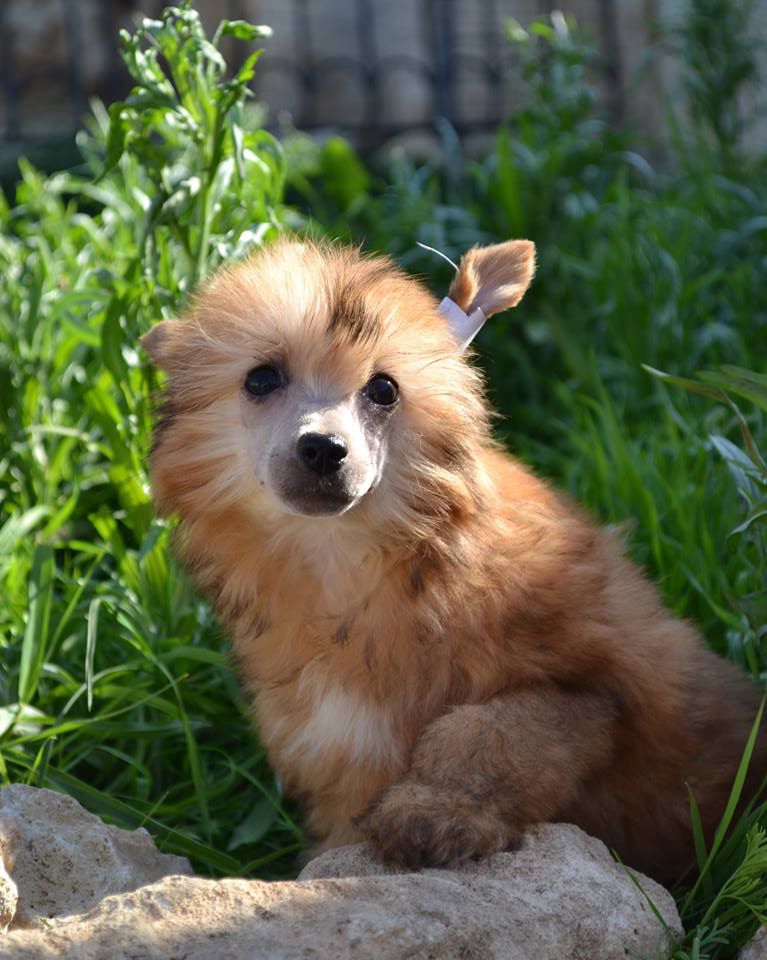 Russian Roulette Spring of Fame Cities