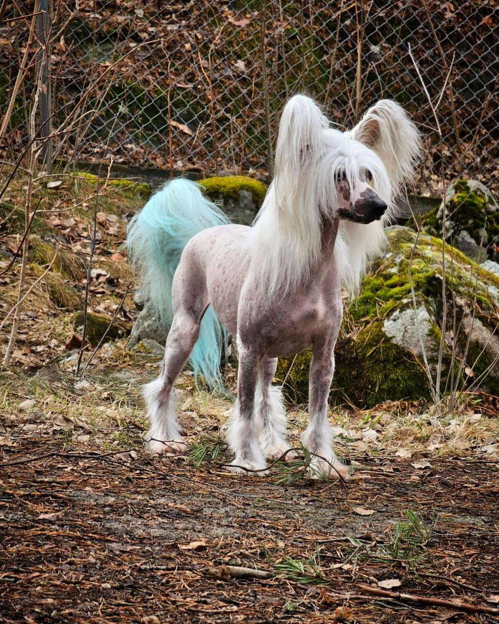 Estillinis Hunters Delight