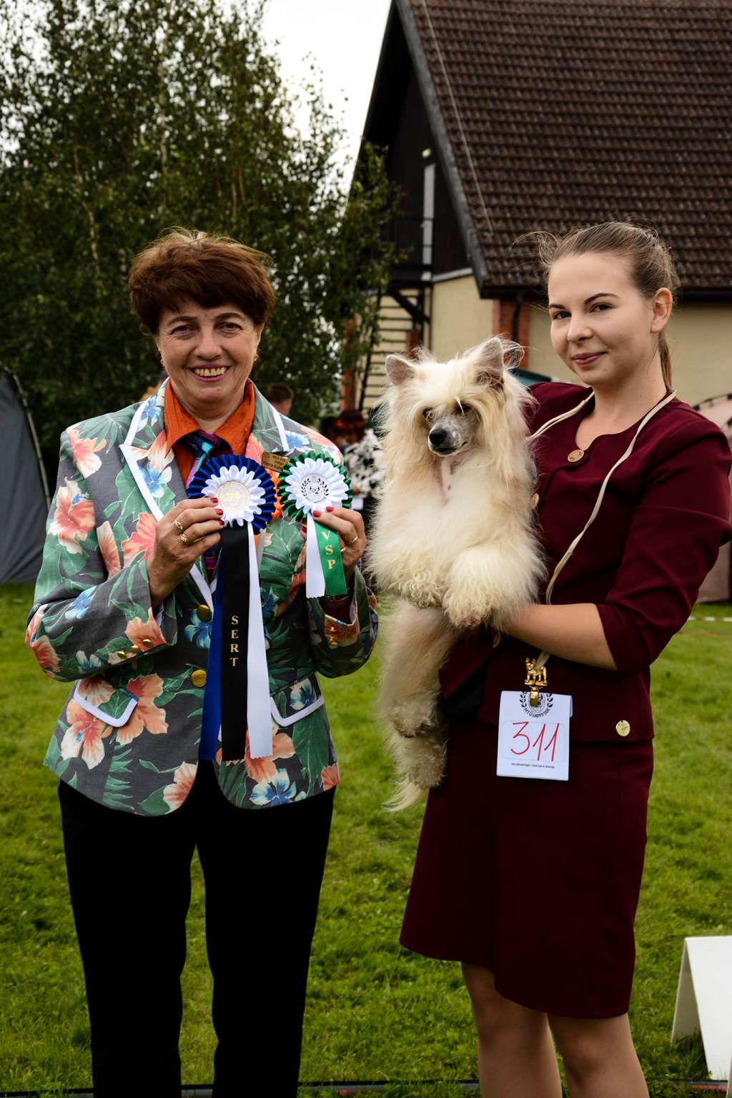 Aztec Gold Freuhartang