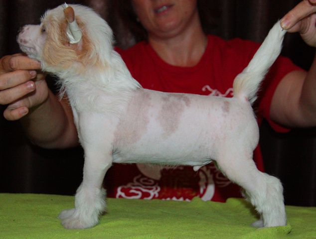 Trufel is Strany Kutha