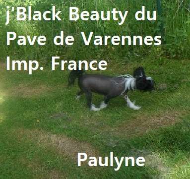 j'black beauty du pavé de varennes