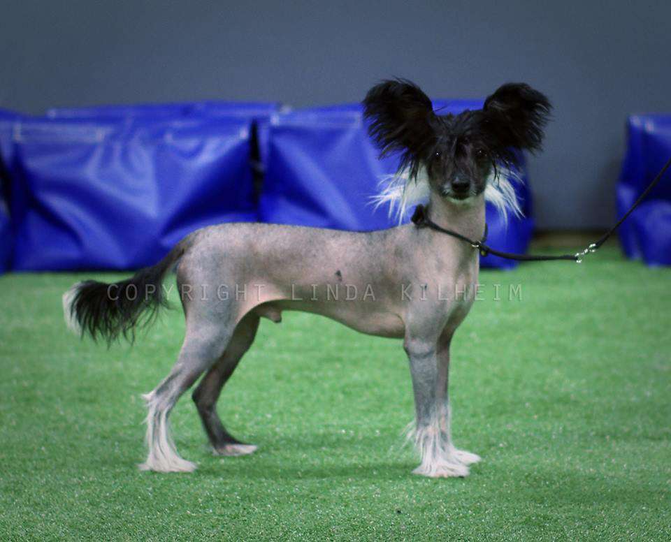 Drömtorpet's Wild Wild Wet