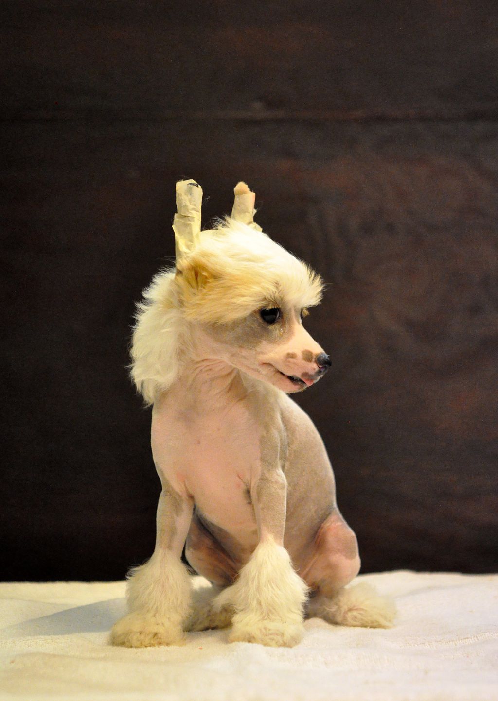 Jean Dark Dancing Queen