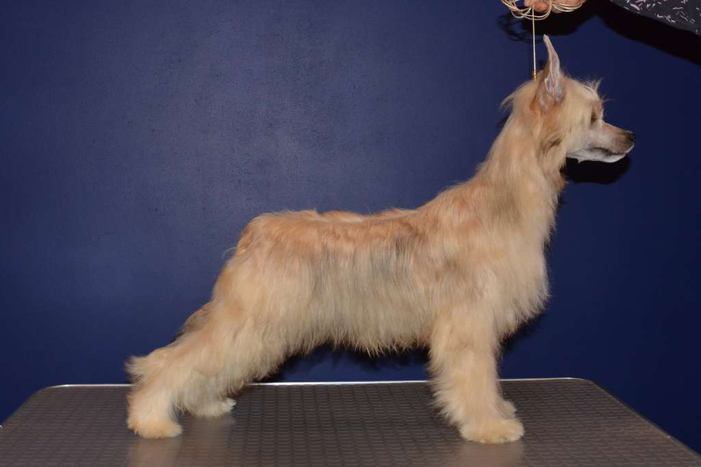 Ins Lucky Star Barselona