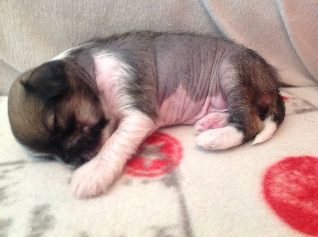 Iltavuoron Nahkatakkinen Tyttö