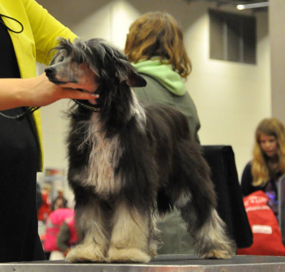 Wildeers Autumn Lollipop