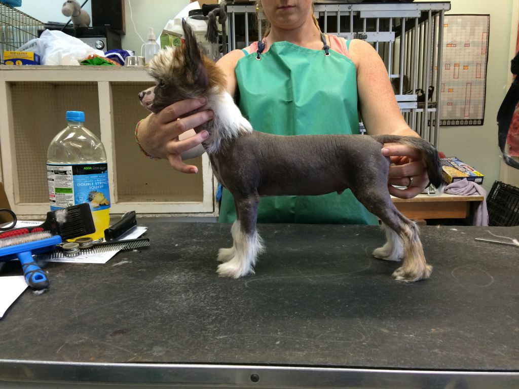 Myglee's What Women Want