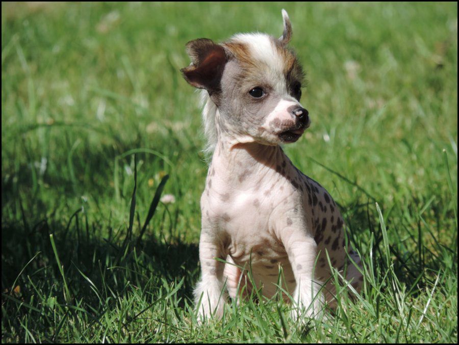 Joris du Coeur des Ténèbres