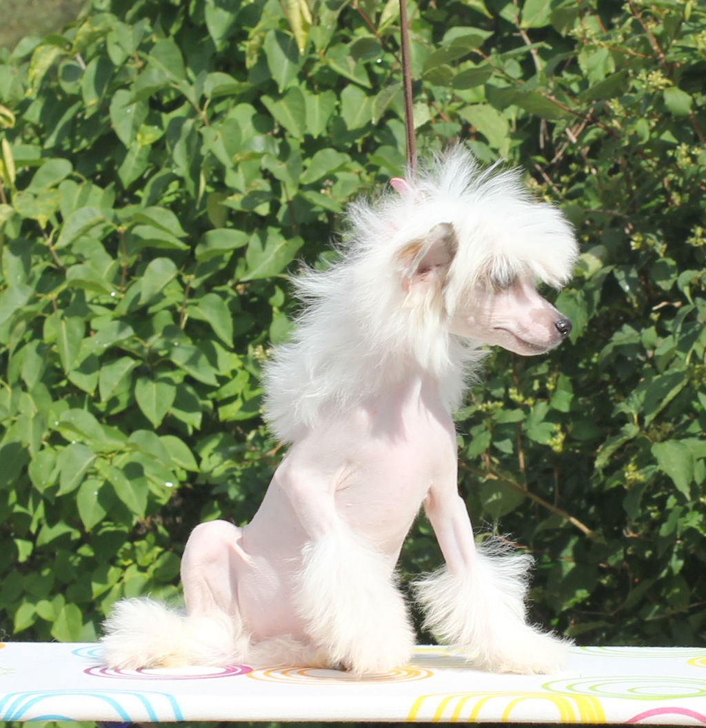 Vernisazh Mari Jacqueline