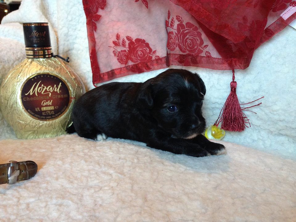 Eseniya Winning Smile