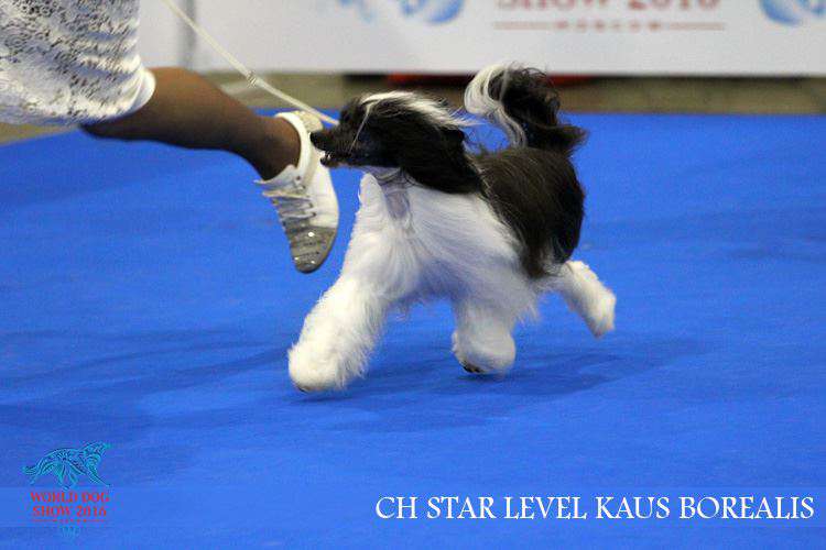 Star Level Kaus Borealis