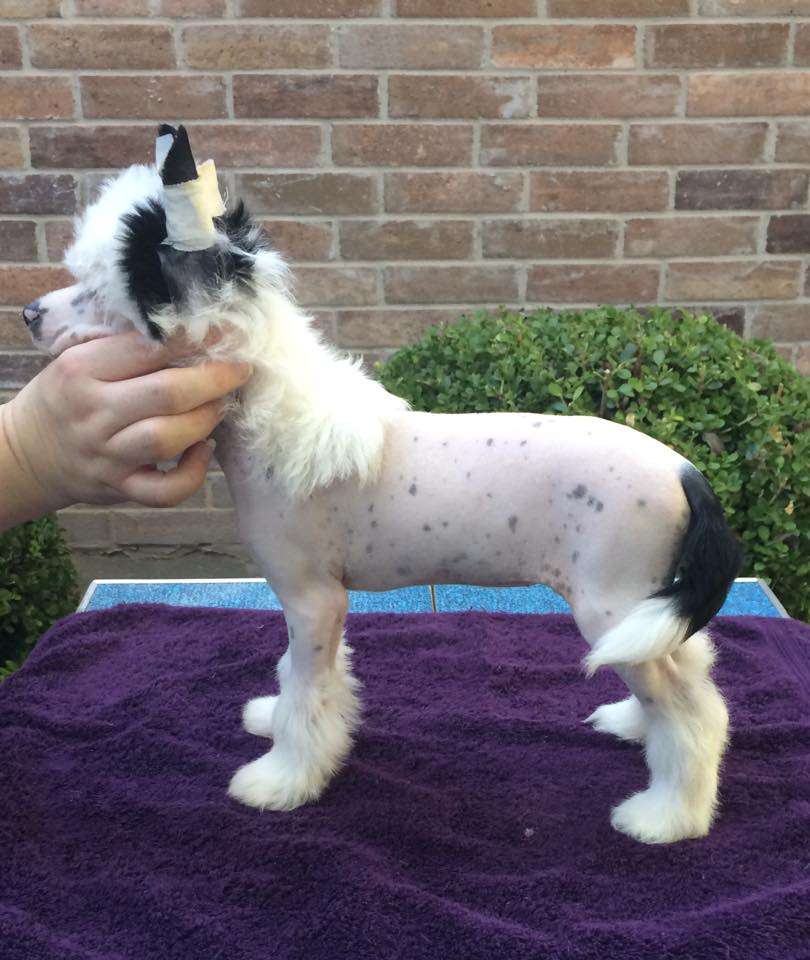 Sterling Whisper Words of Wisdom