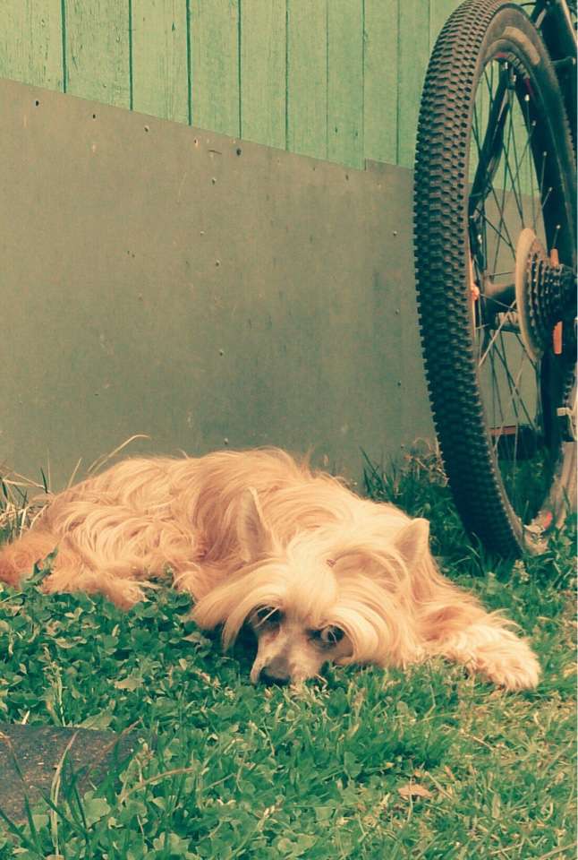 Ksolo Club Nice Apelsinka