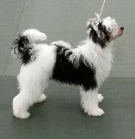 Heart of Dixie's Frankly Speaking