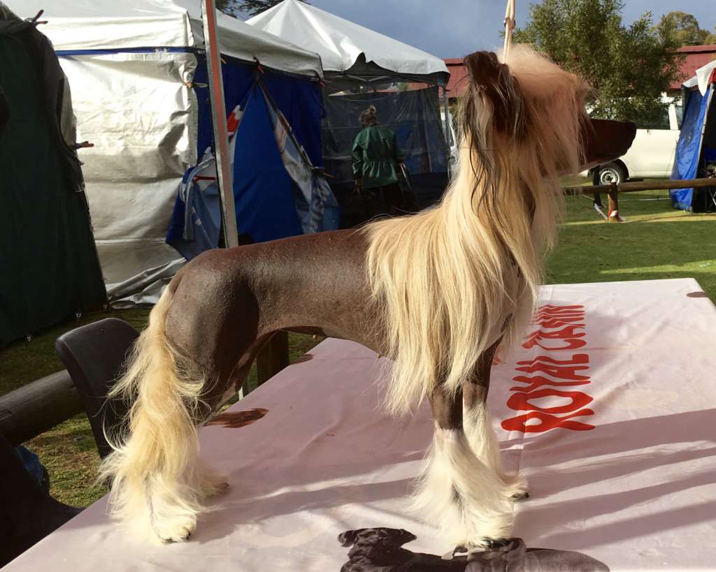 Nikki Minaj von Shinbashi