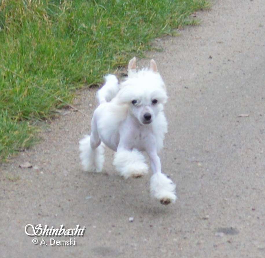 Nina Ricci von Shinbashi