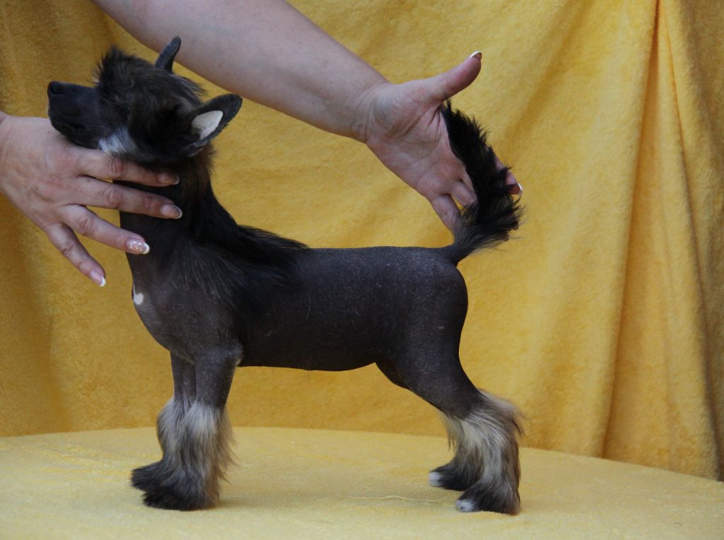 Zeneva-Debjut Oh, Odessa