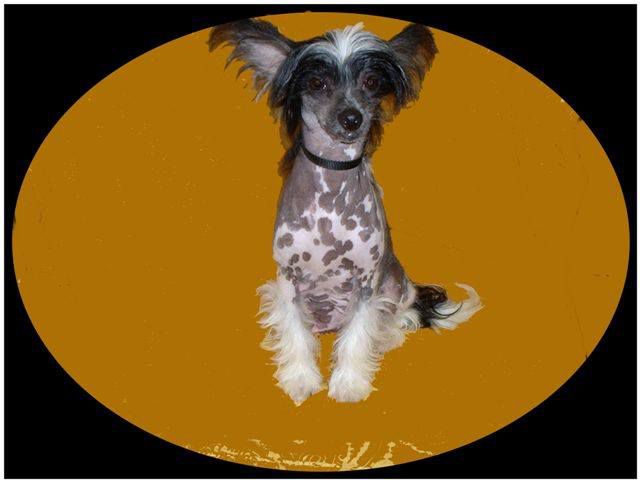 Bi Ju's Boo N The Night