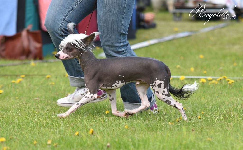 Bemu's Especially For You