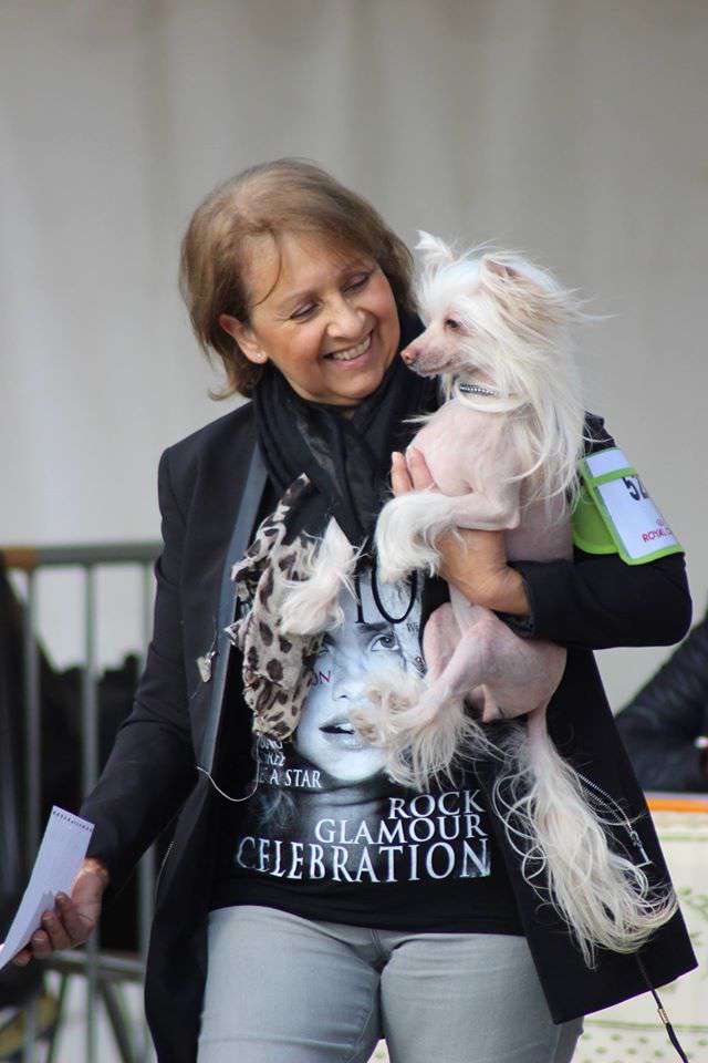 Magic of Success Wilhelmina