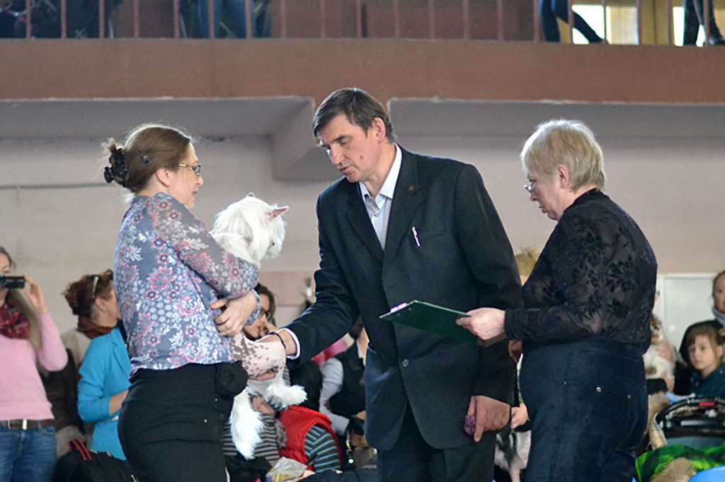 Zlato Dinastii Bellagio