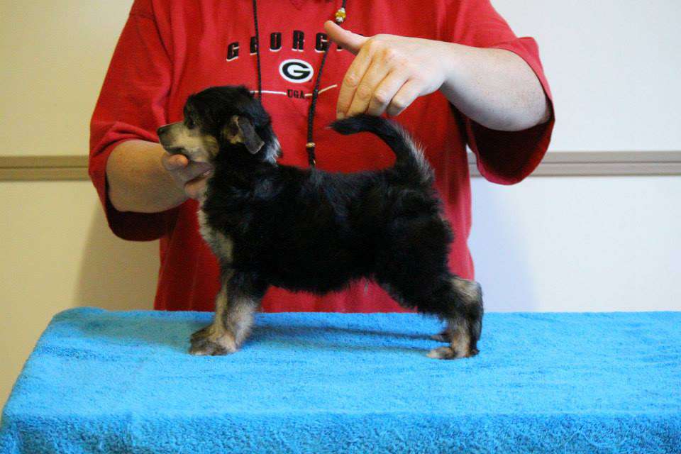 Koridawn N Zhen The Heat Is On