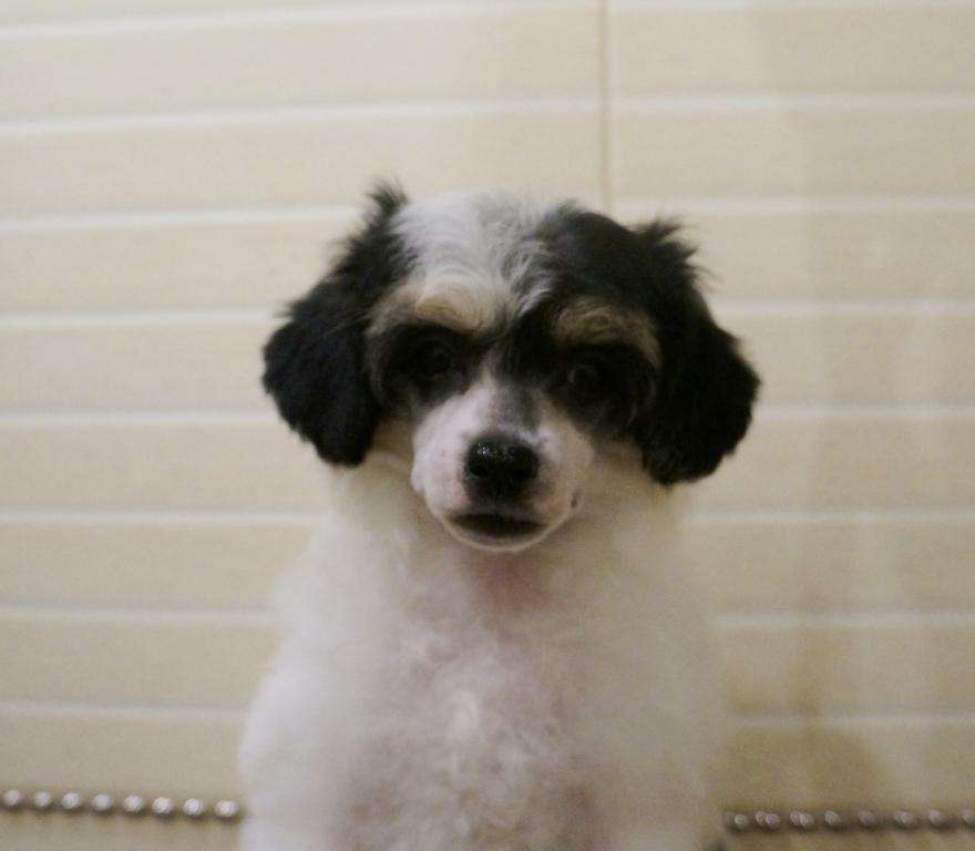 Kredo Festa Soul of the Sun