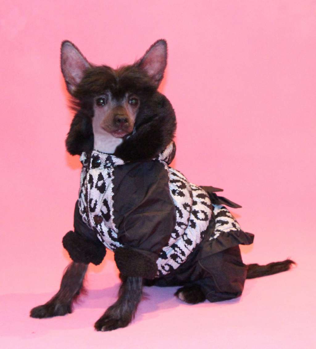 Galser  Darina Grand