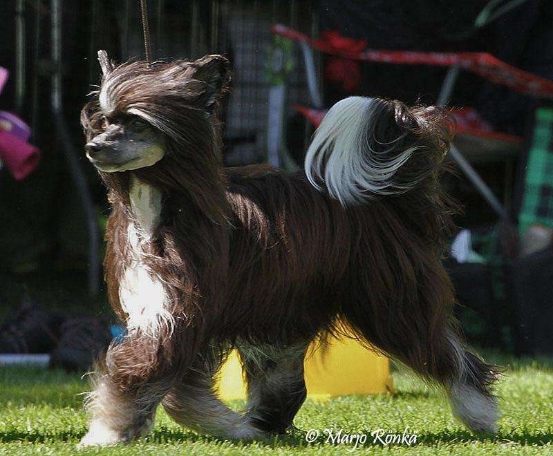 Mheleas Defintion Of Happines