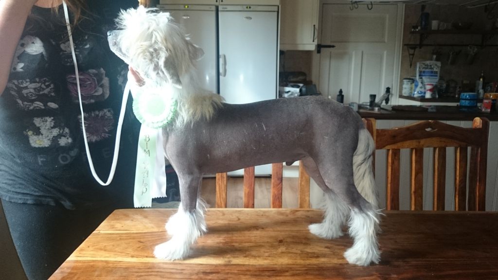 Uzume'z FanBloodyTastic