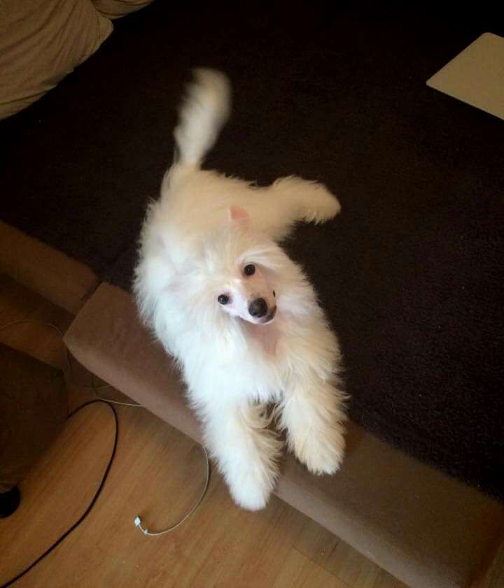 So-soft Dom Pérignon