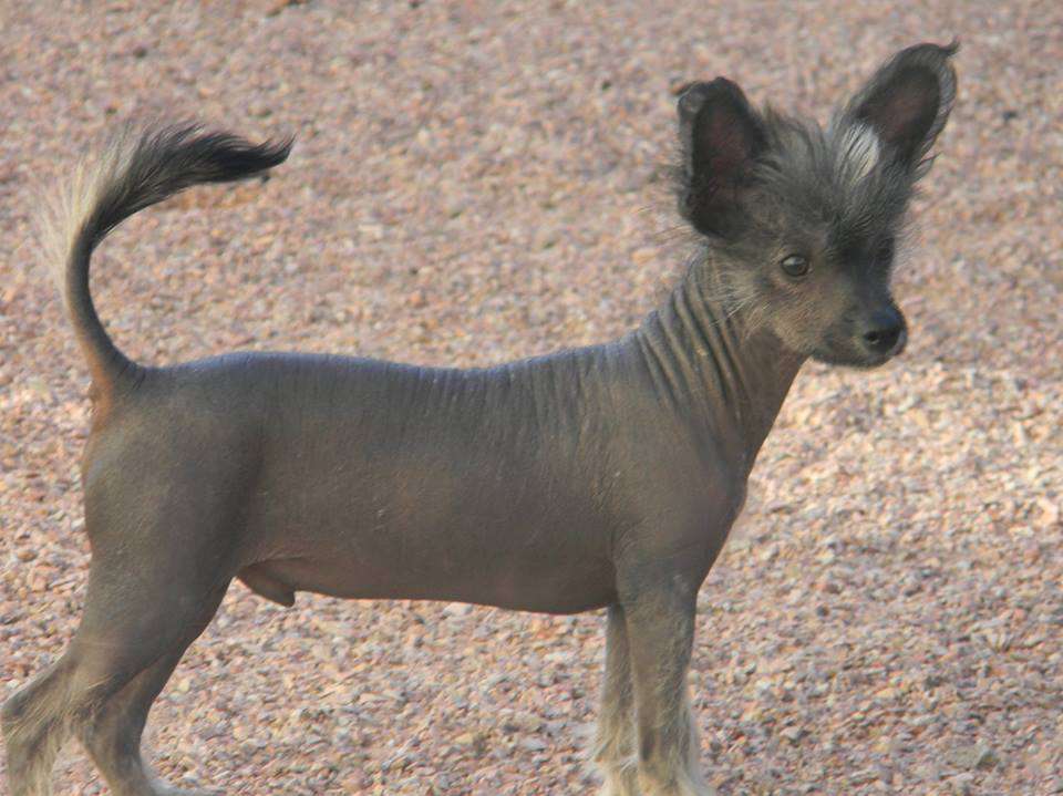 D'Nude's Read Between The Lines