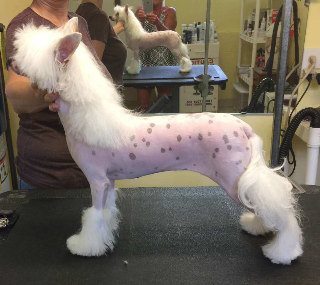 Stars At Sea ..... Zhen