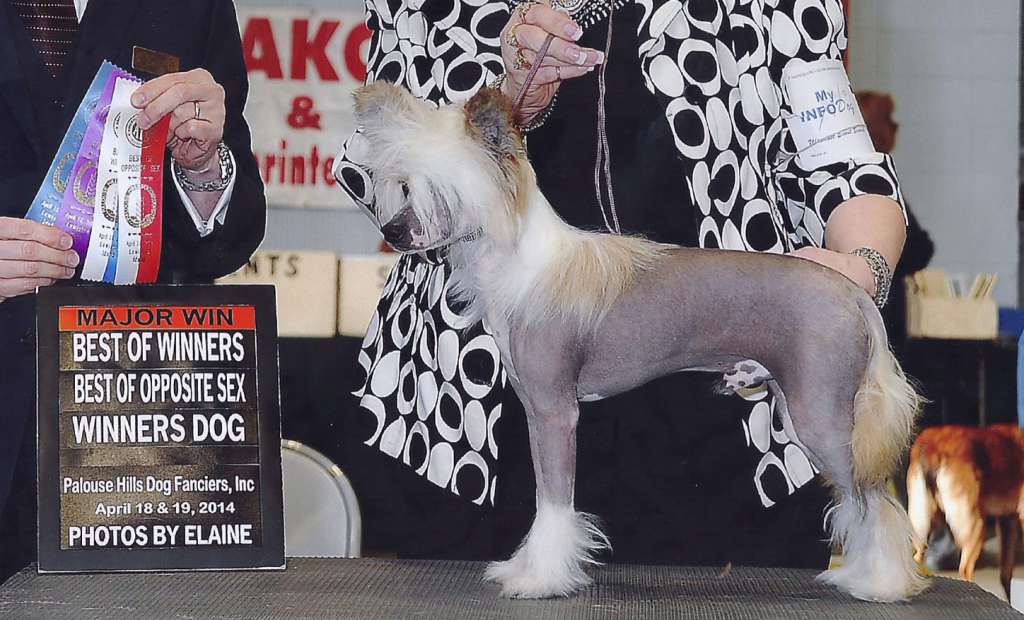 Deja Vu Money Can Change Everything