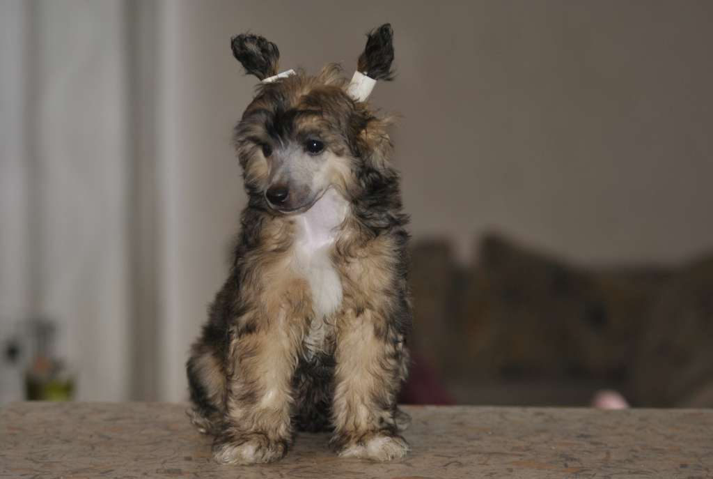 Grand Sunlife Happy Man