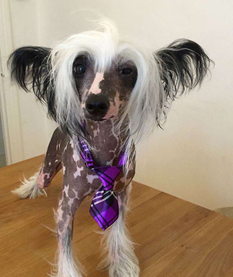 Magik Key To Millenium Dolce Dea Apriori