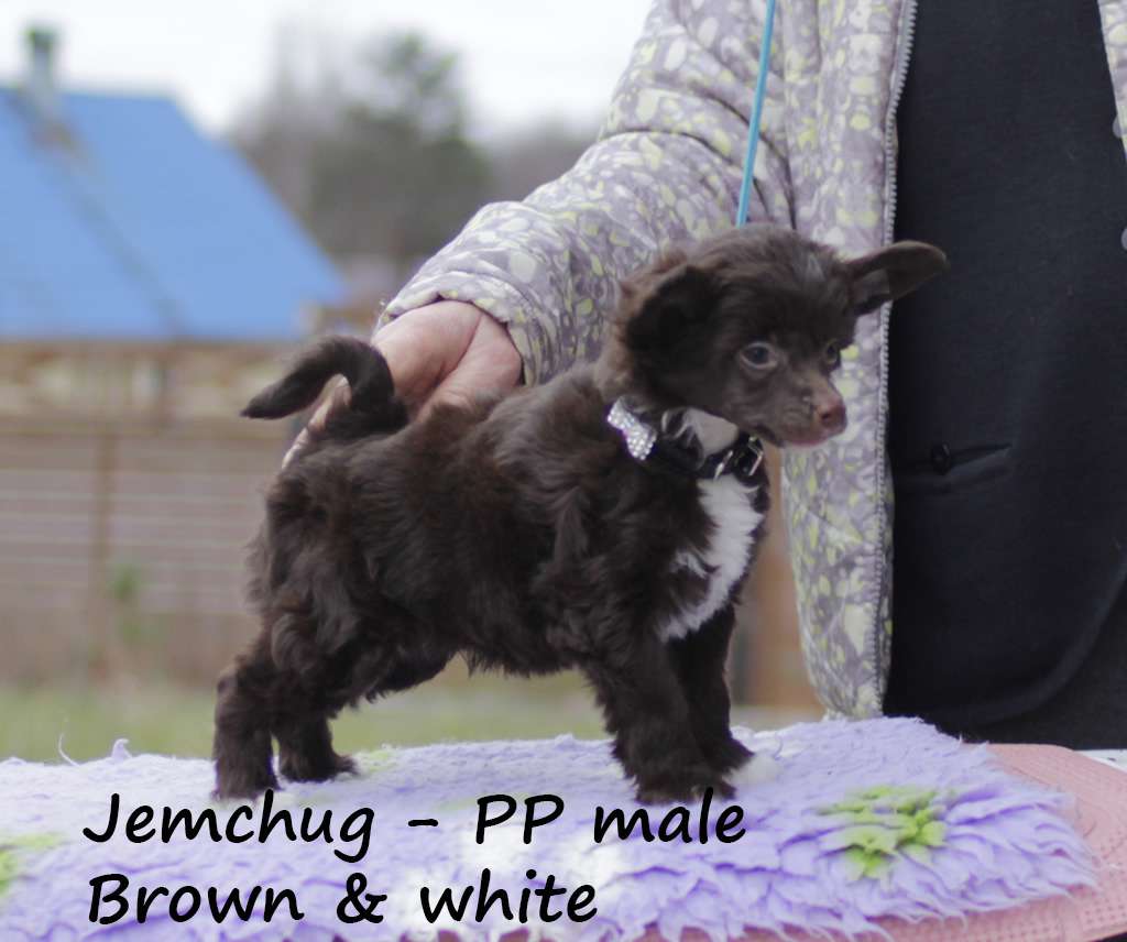 Vernisazh Mari Jemchug