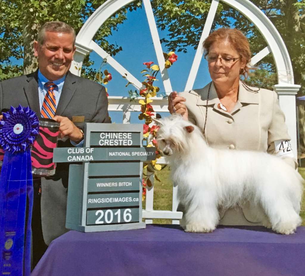 Colliwood's First Time In forever