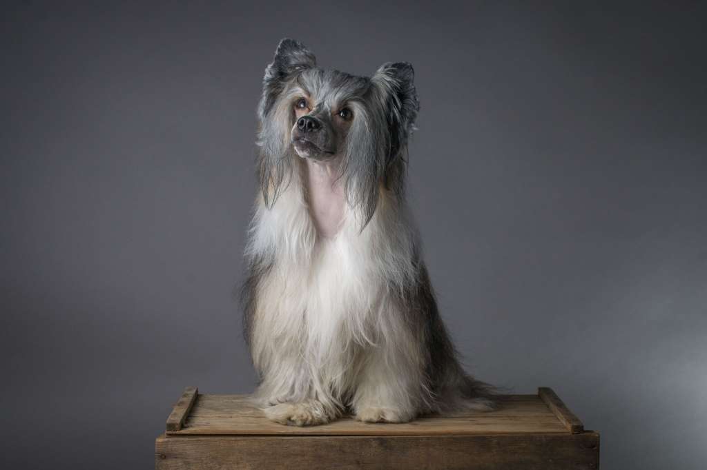 Girls Girls All Migthy Cloud Atlas