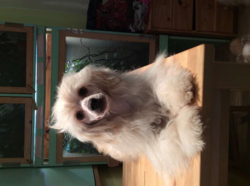 Nathan of Unique Creatures