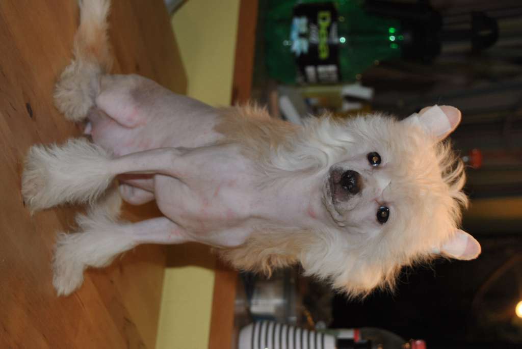 Nienke of Unique Creatures