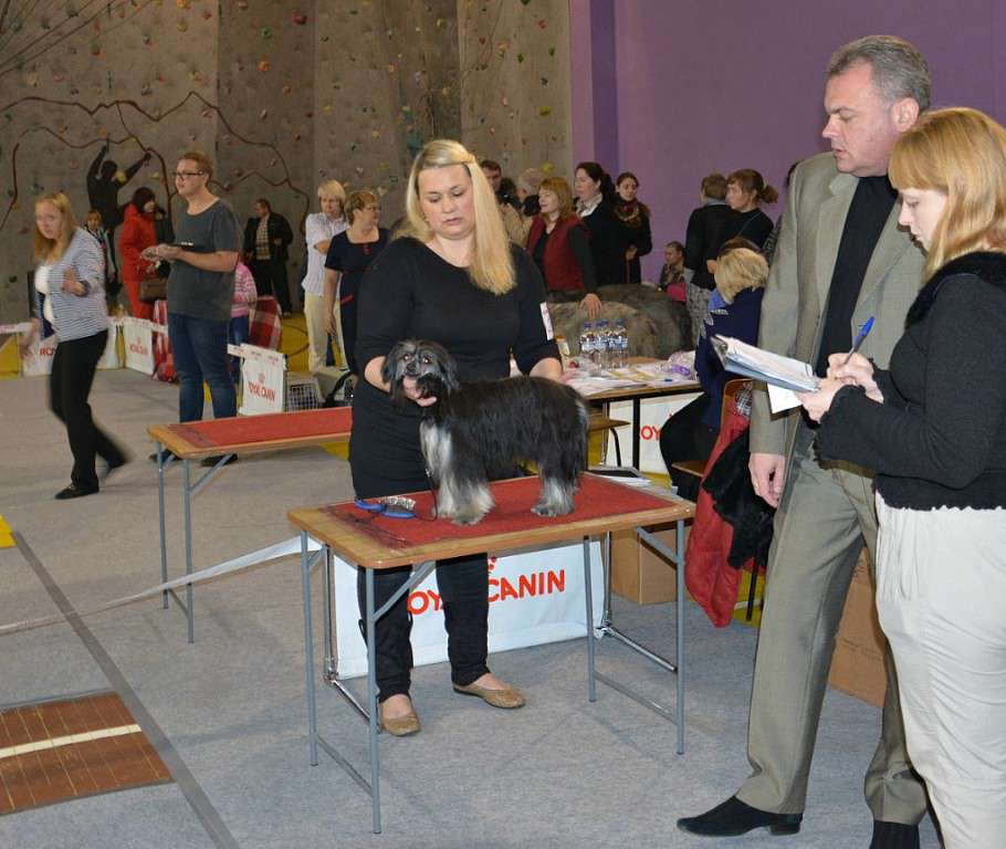 Helen'S Fentezi Voshodyashchaya Zvezda