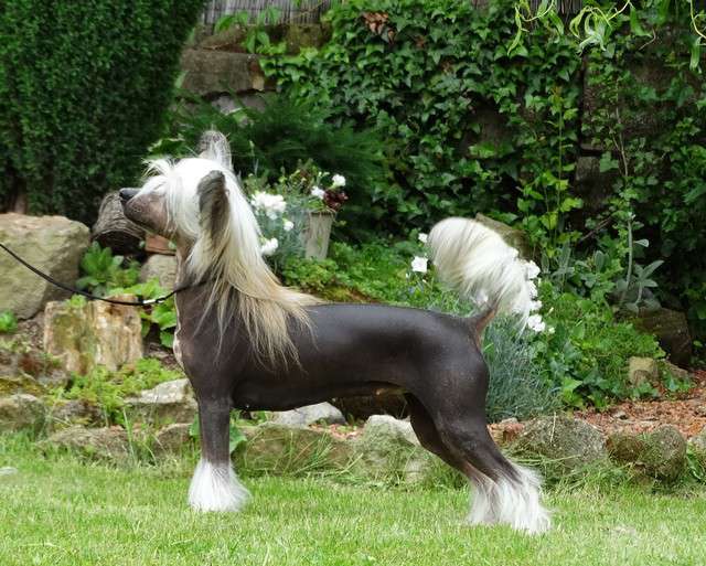 Forseti's Hana Lei Bay