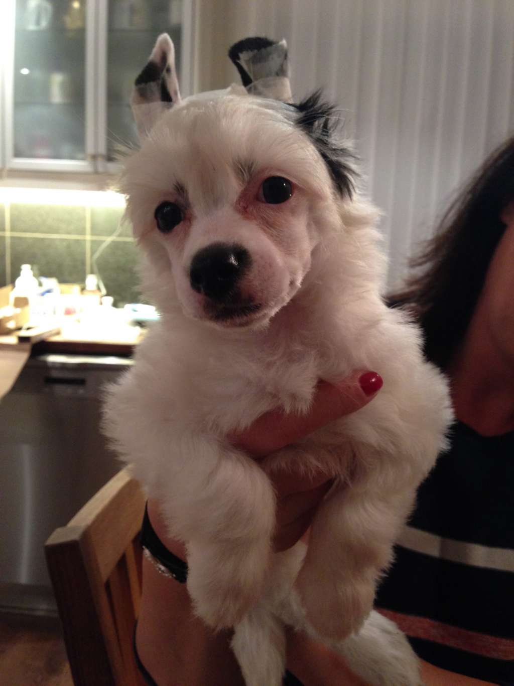 Play Mansion Cleopatra