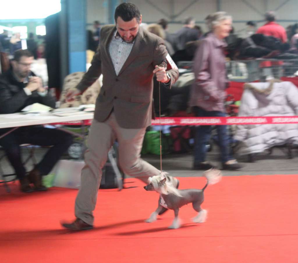 De Cabanelas Lijiang