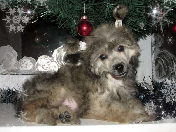 Grand Sunlife Caymurat