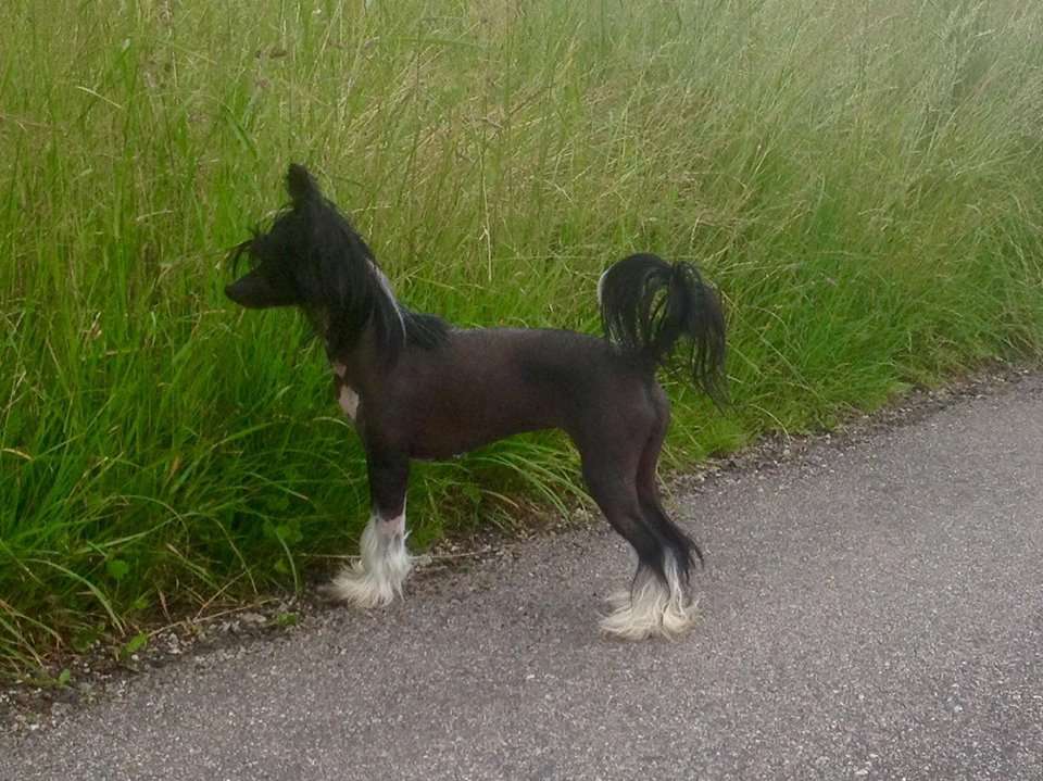 On Cloud 9 Princes de la Roses